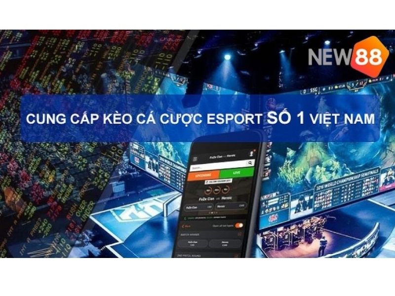Cổng game thể thao new88